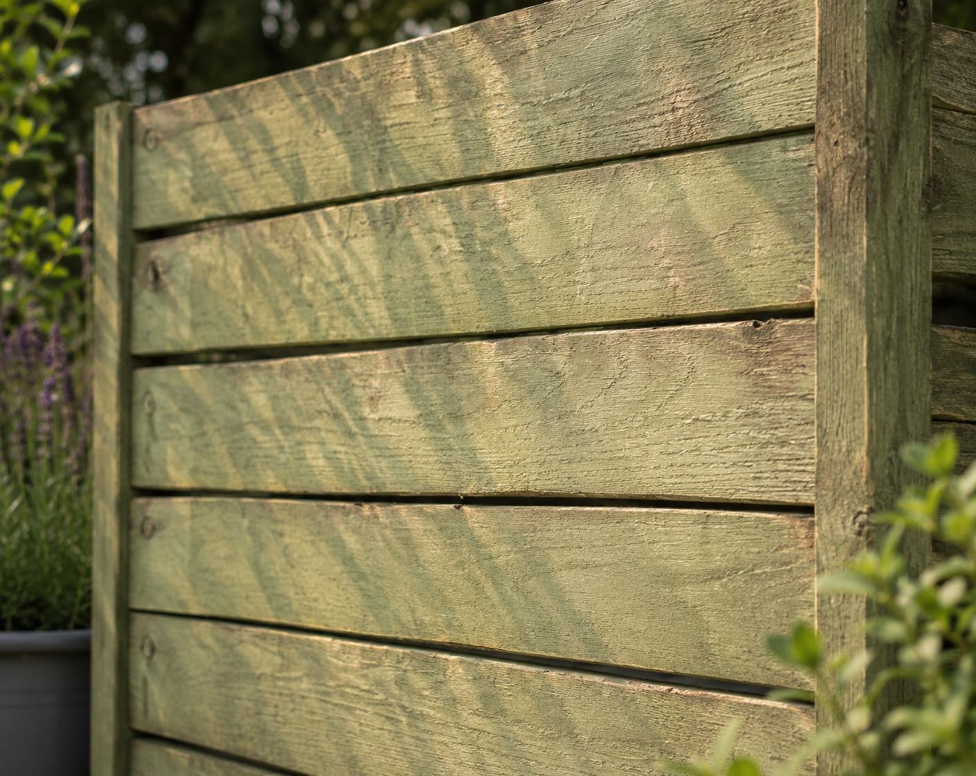 Reclaimed & Recycled Forest Vista