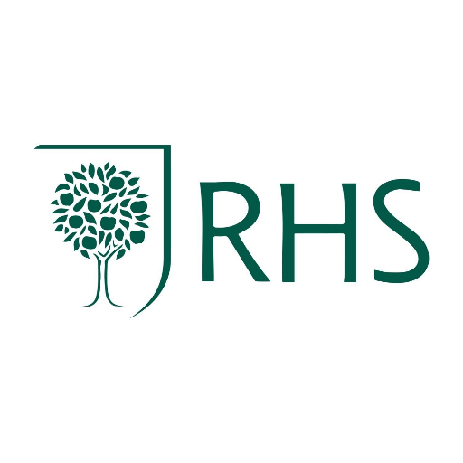 RHSchelsea